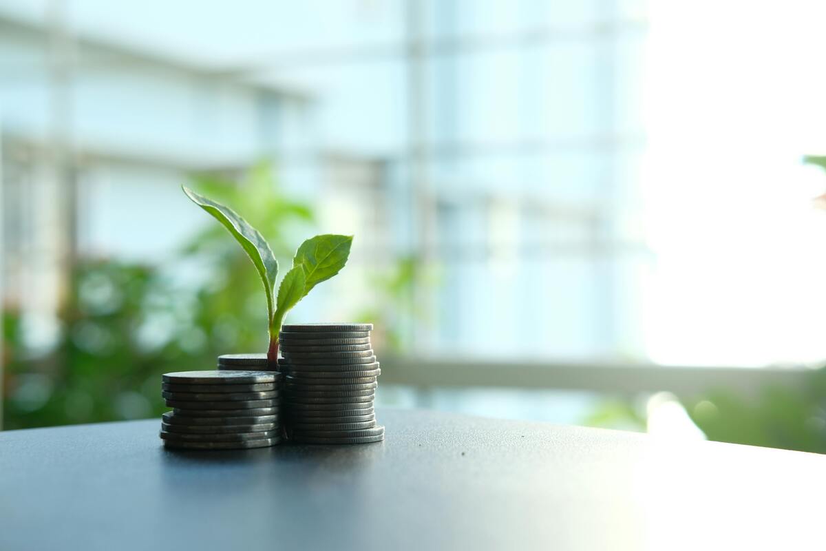 green leaves between coins, what is carbon accounting